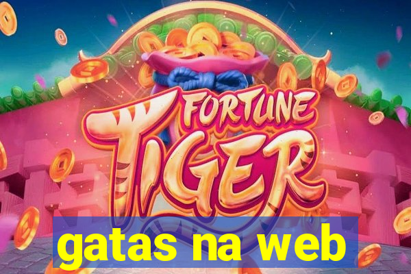 gatas na web